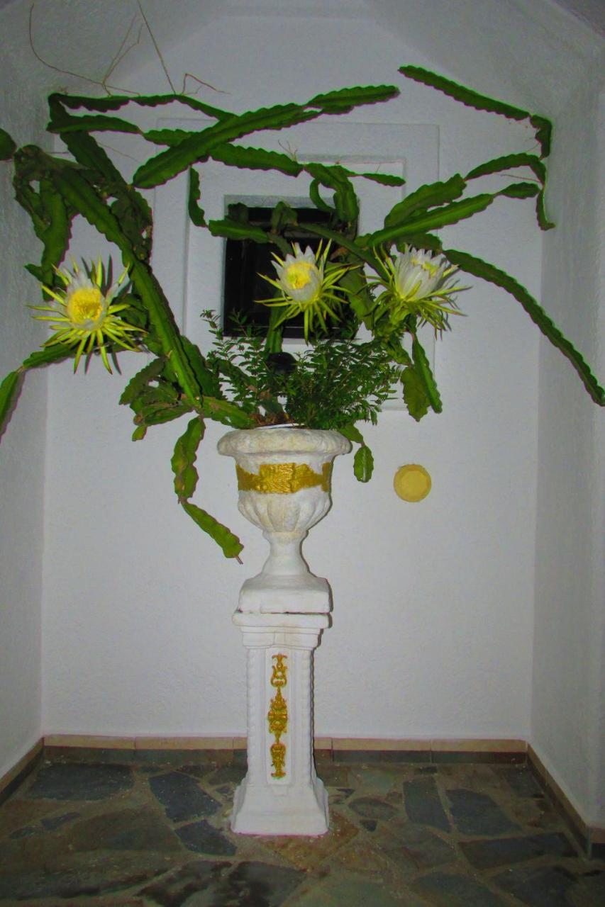 Castellino Studios